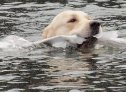 Maggie NOU treeneiss&auml;