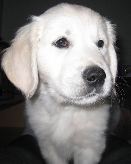 Rasmus uudessa kodissaan