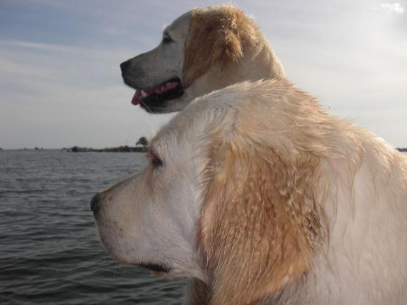 Maggie ja Mindy, hein&auml;kuu 2010