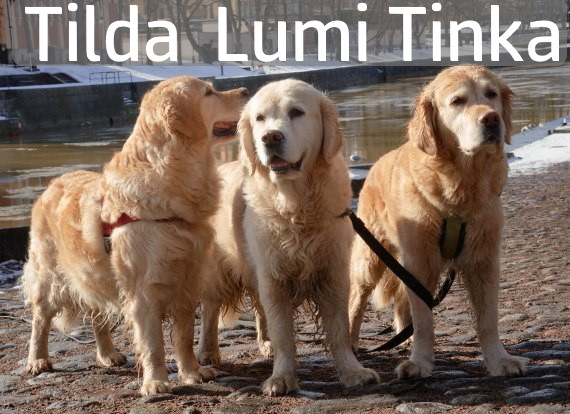 Tilda, Lumi and Tinka 2022 autumn