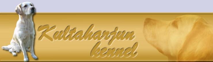 Kultaharjun kennel